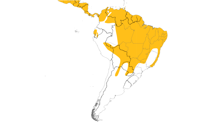 Range Map (South): Gray-lined Hawk