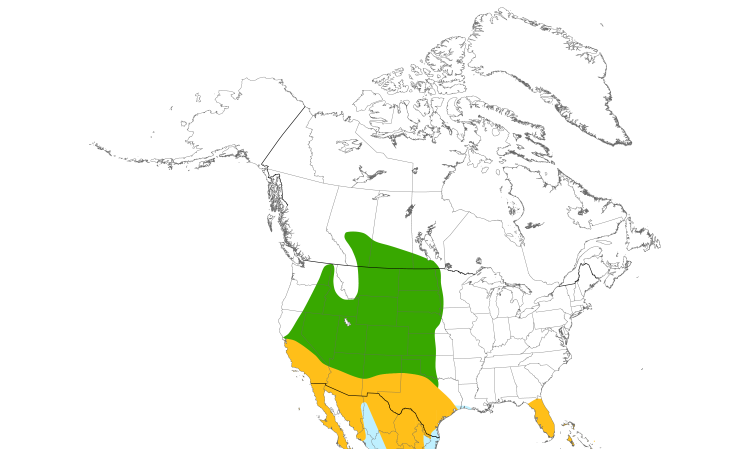 Range Map (North): Burrowing Owl