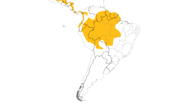 Range Map (South): Buff-throated Foliage-gleaner