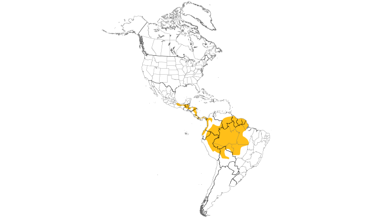 Range Map (Americas): Buff-throated Foliage-gleaner