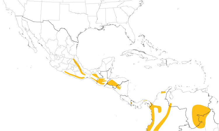 Range Map (Central): Ruddy Foliage-gleaner