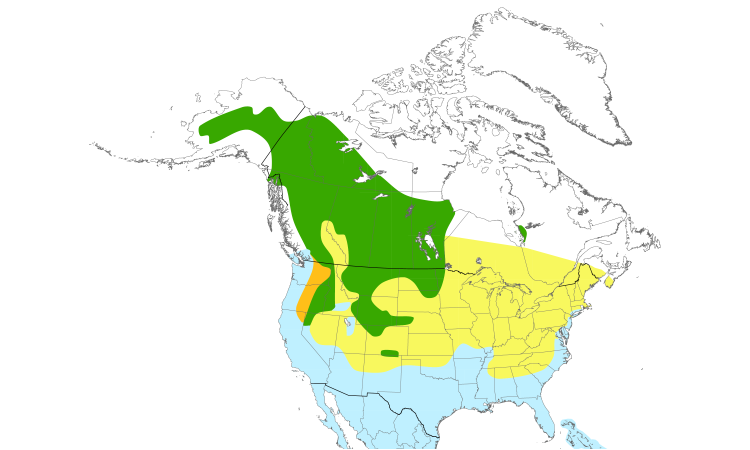 Range Map (North): Lesser Scaup