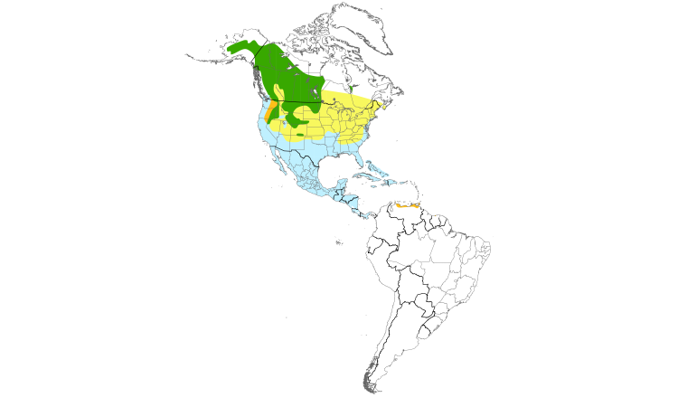 Range Map (Americas): Lesser Scaup