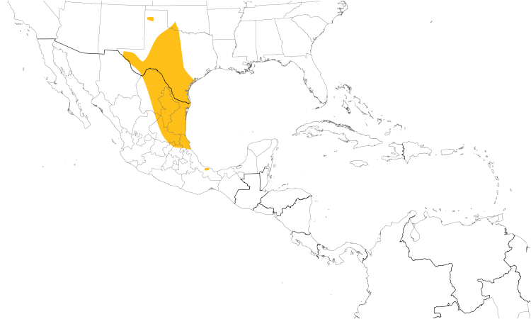 Range Map (Central): Black-crested Titmouse