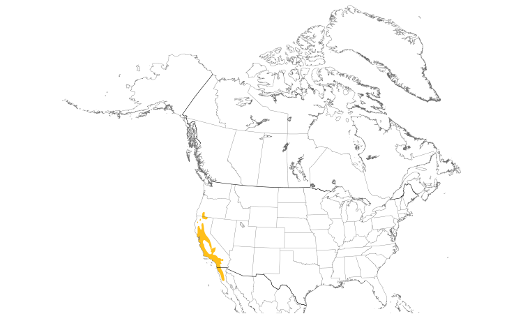 Range Map (North): Oak Titmouse