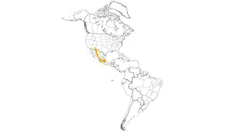 Range Map (Americas): Bridled Titmouse