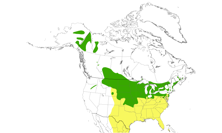 Carte de répartition  (North): Maubèche des champs