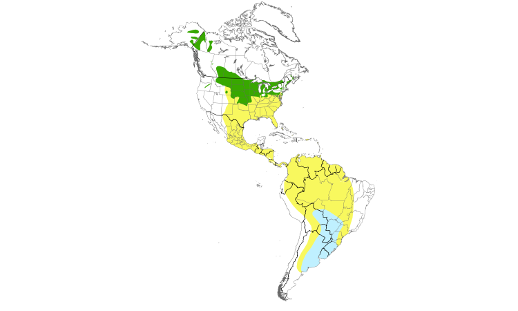 Carte de répartition  (Americas): Maubèche des champs