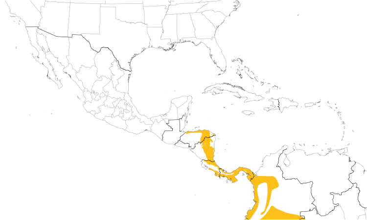Range Map (Central): Buff-rumped Warbler