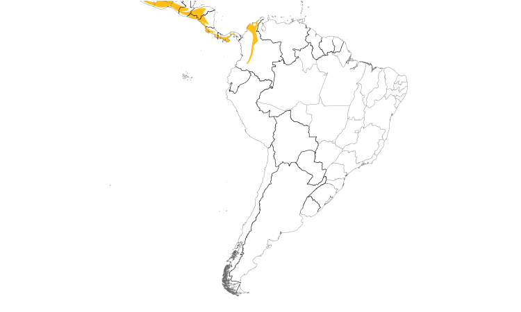 Range Map (South): Rufous-capped Warbler