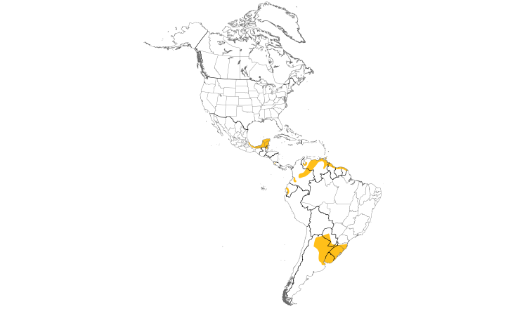 Range Map (Americas): Pinnated Bittern