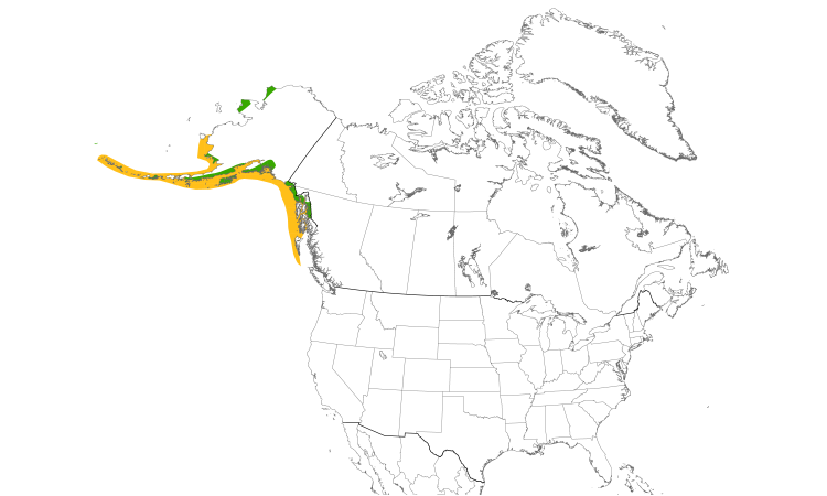 Range Map (North): Kittlitz's Murrelet