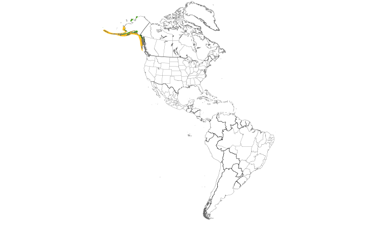 Range Map (Americas): Kittlitz's Murrelet