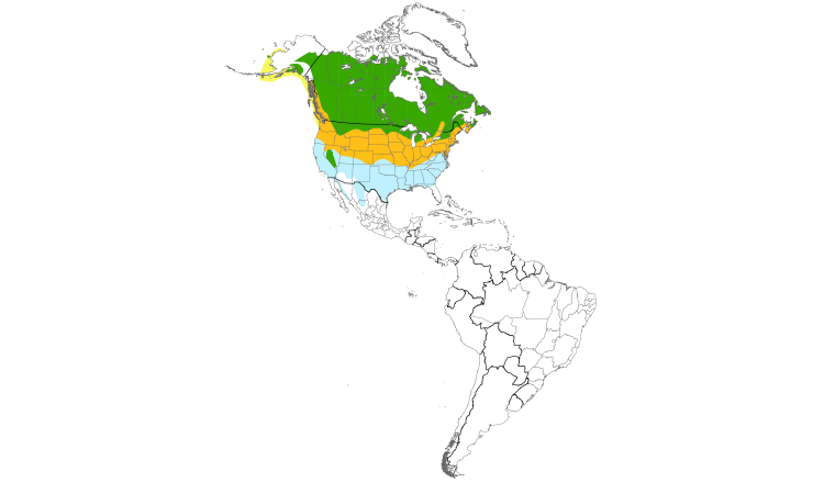 Range Map (Americas): Canada Goose