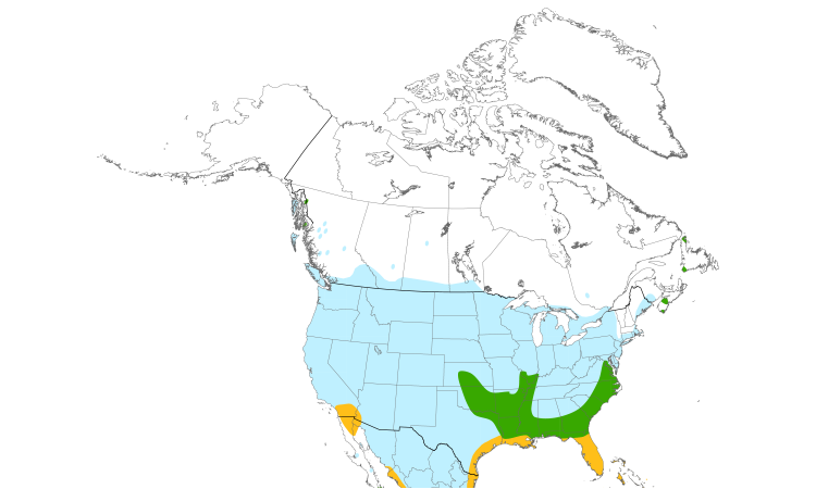 Range Map (North): Cattle Egret