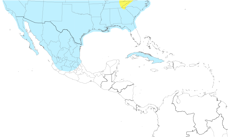 Range Map (Central): Bufflehead