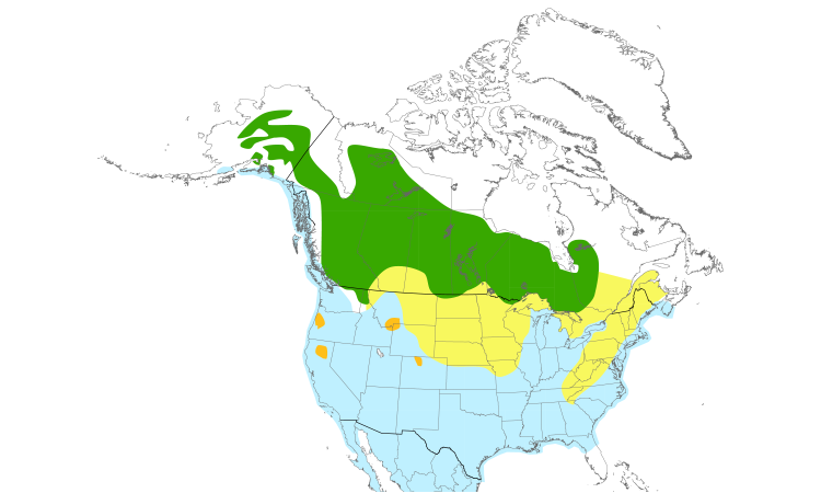 Range Map (North): Bufflehead