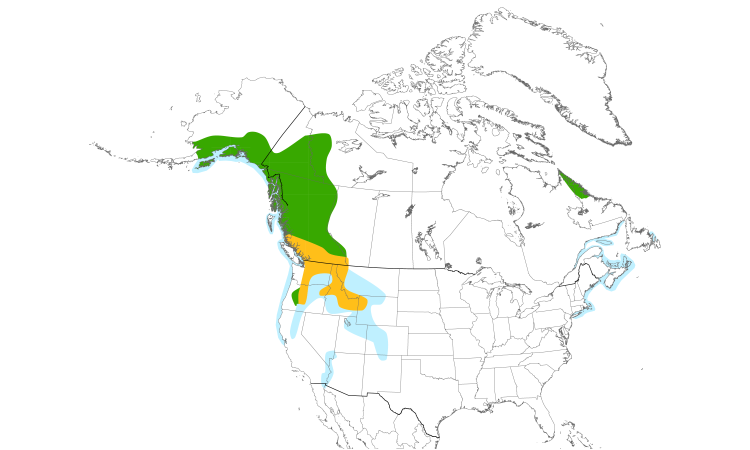 Range Map (North): Barrow's Goldeneye