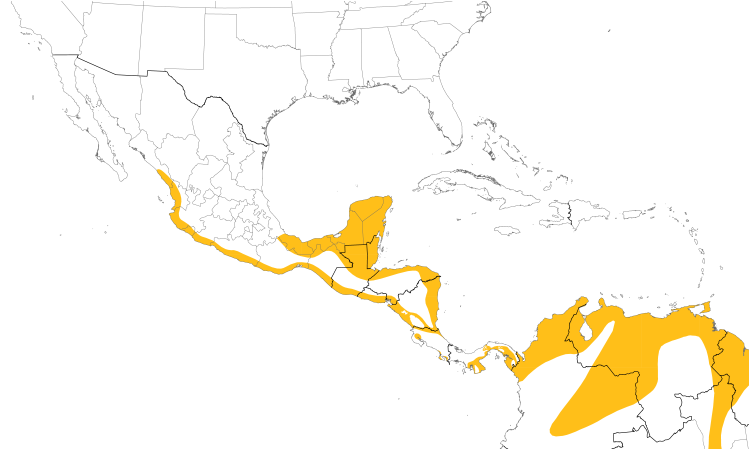 Range Map (Central): Black-collared Hawk