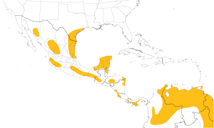 Range Map (Central): White-tailed Hawk