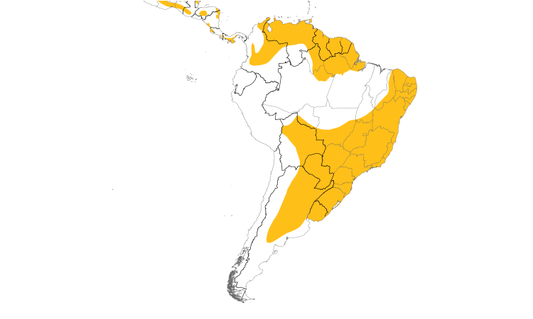 Range Map (South): White-tailed Hawk