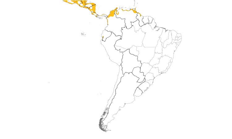 Range Map (South): Common Black Hawk