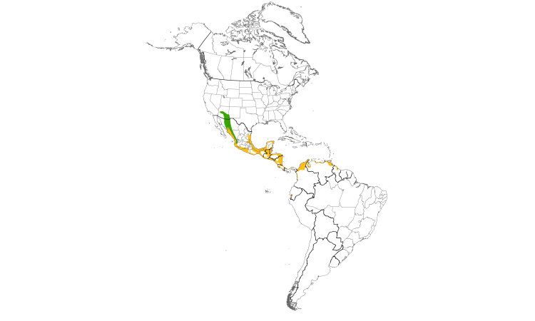 Range Map (Americas): Common Black Hawk