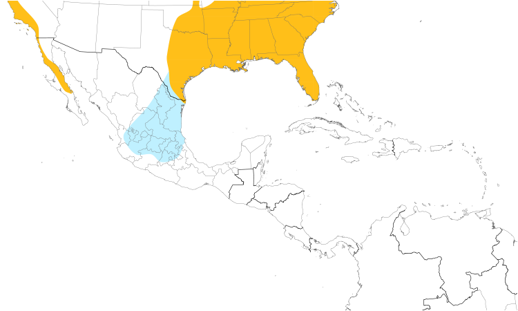 Range Map (Central): Red-shouldered Hawk