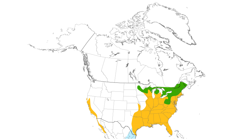 Range Map (North): Red-shouldered Hawk