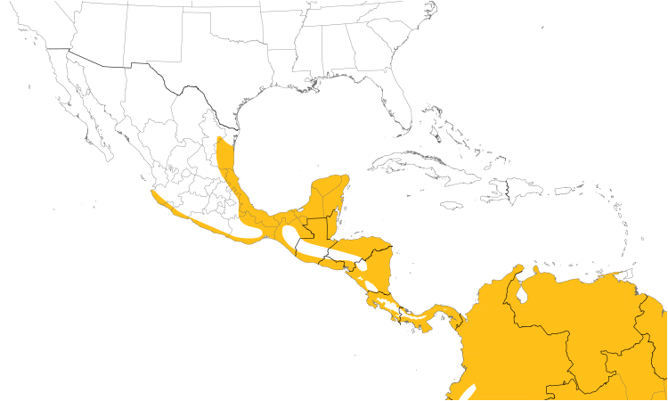Range Map (Central): Roadside Hawk