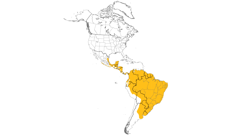 Range Map (Americas): Roadside Hawk