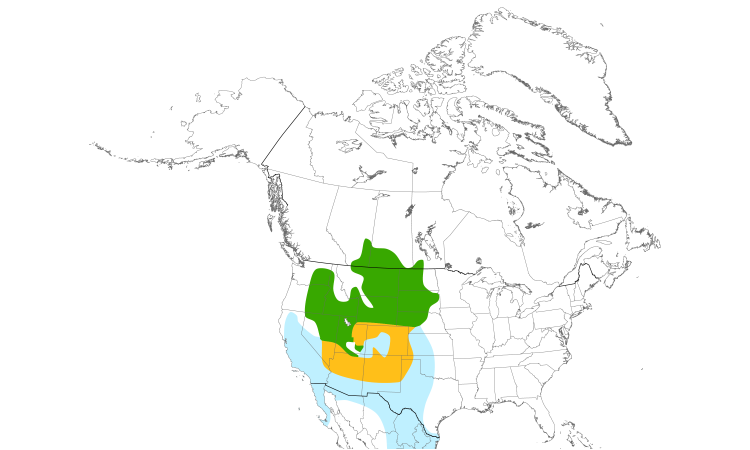 Range Map (North): Ferruginous Hawk