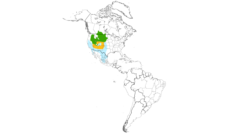 Range Map (Americas): Ferruginous Hawk