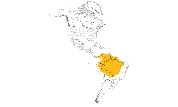Range Map (Americas): Yellow-rumped Cacique