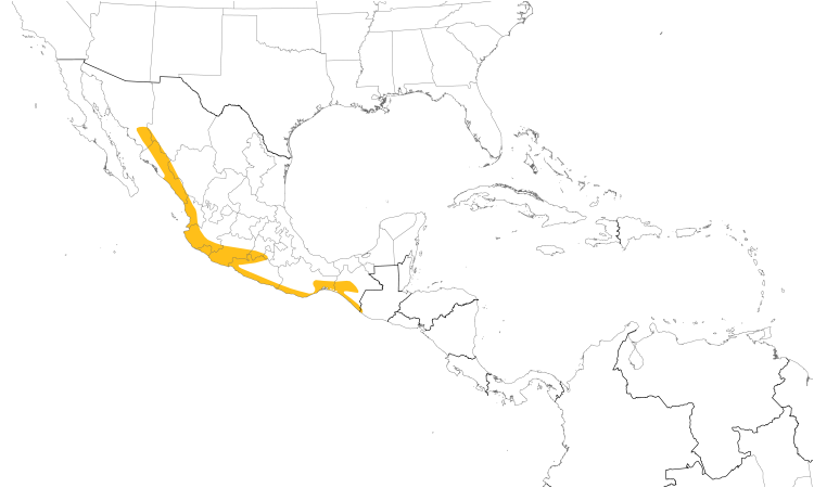 Range Map (Central): Yellow-winged Cacique