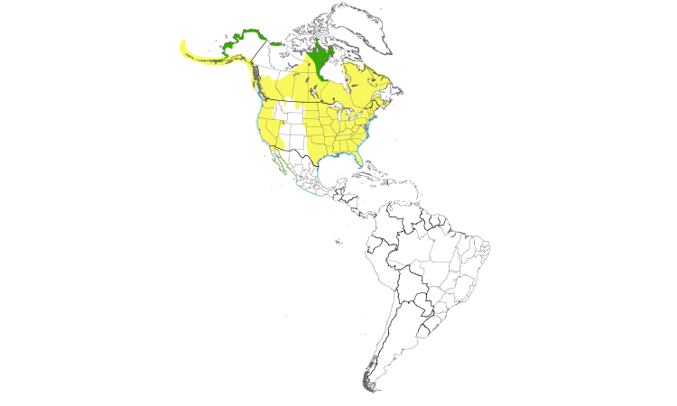 Range Map (Americas): Dunlin