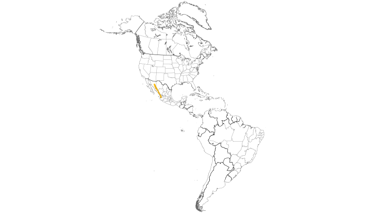 Range Map (Americas): Elegant Quail