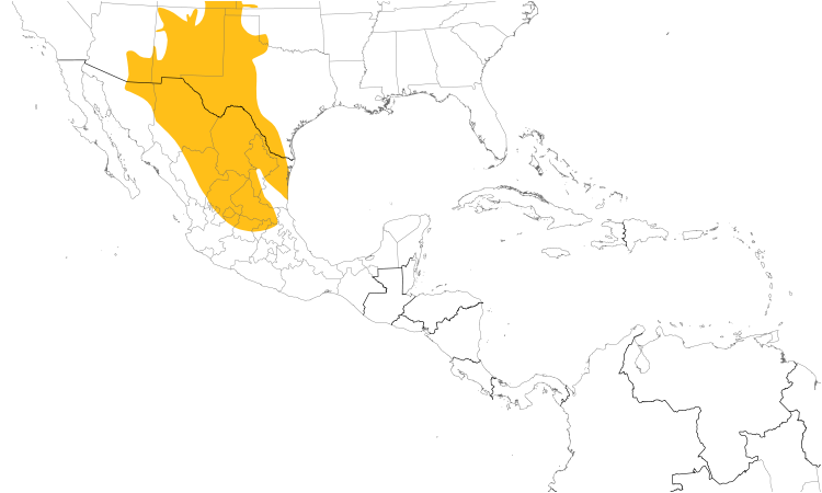 Range Map (Central): Scaled Quail