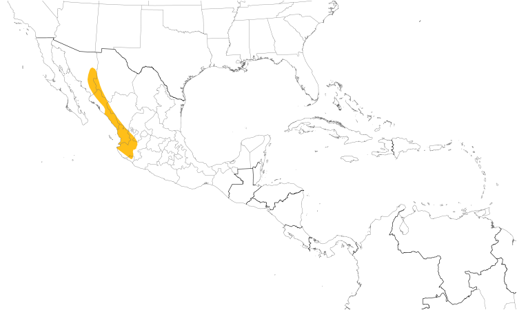 Range Map (Central): Black-throated Magpie-Jay