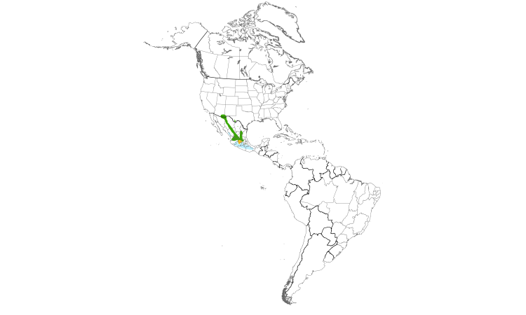 Range Map (Americas): Lucifer Hummingbird