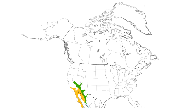 Range Map (North): Costa's Hummingbird