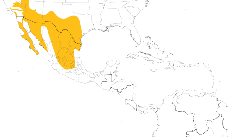 Range Map (Central): Cactus Wren