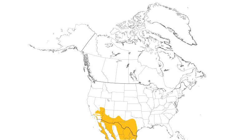 Range Map (North): Cactus Wren