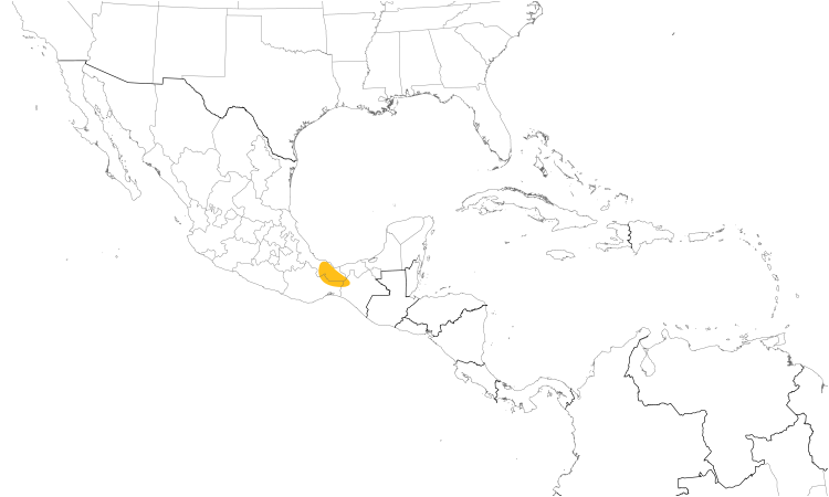 Range Map (Central): Long-tailed Sabrewing