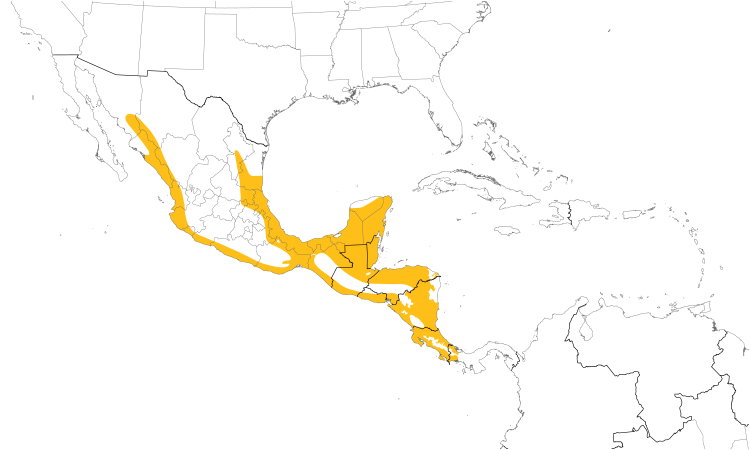 Range Map (Central): Pale-billed Woodpecker