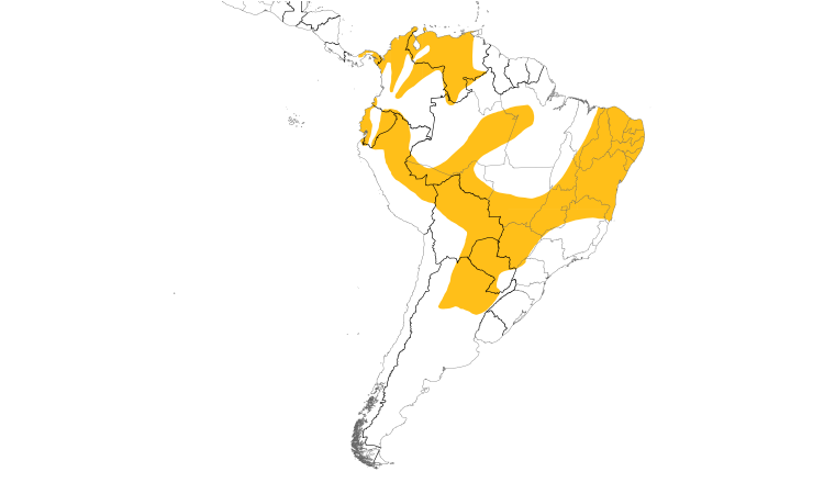 Range Map (South): Red-billed Scythebill