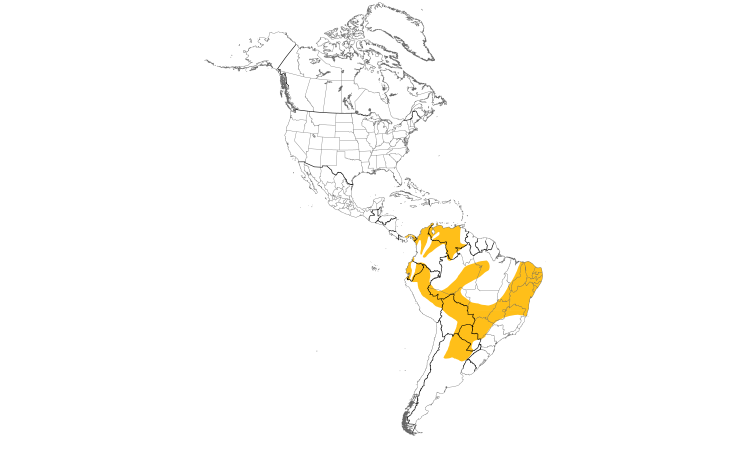 Range Map (Americas): Red-billed Scythebill
