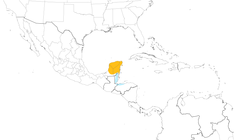 Range Map (Central): Yucatan Nightjar