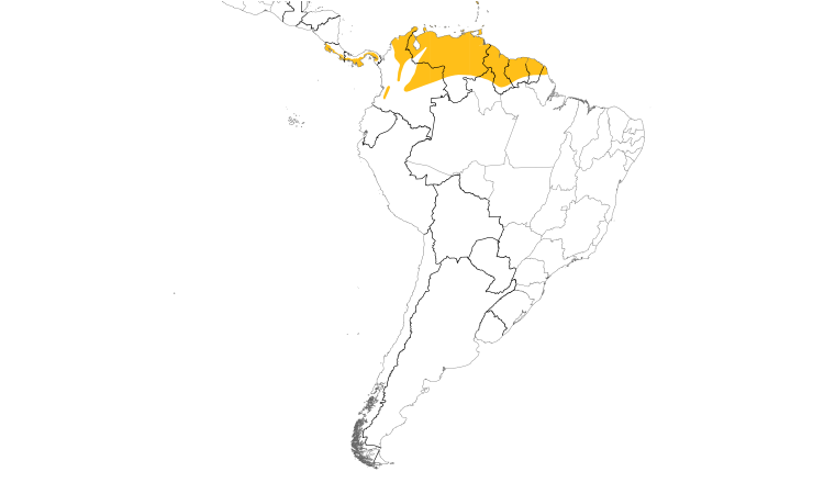 Range Map (South): White-tailed Nightjar