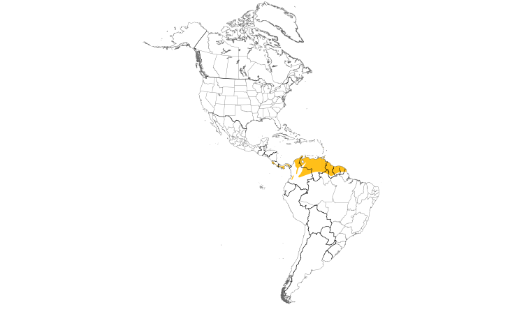Range Map (Americas): White-tailed Nightjar
